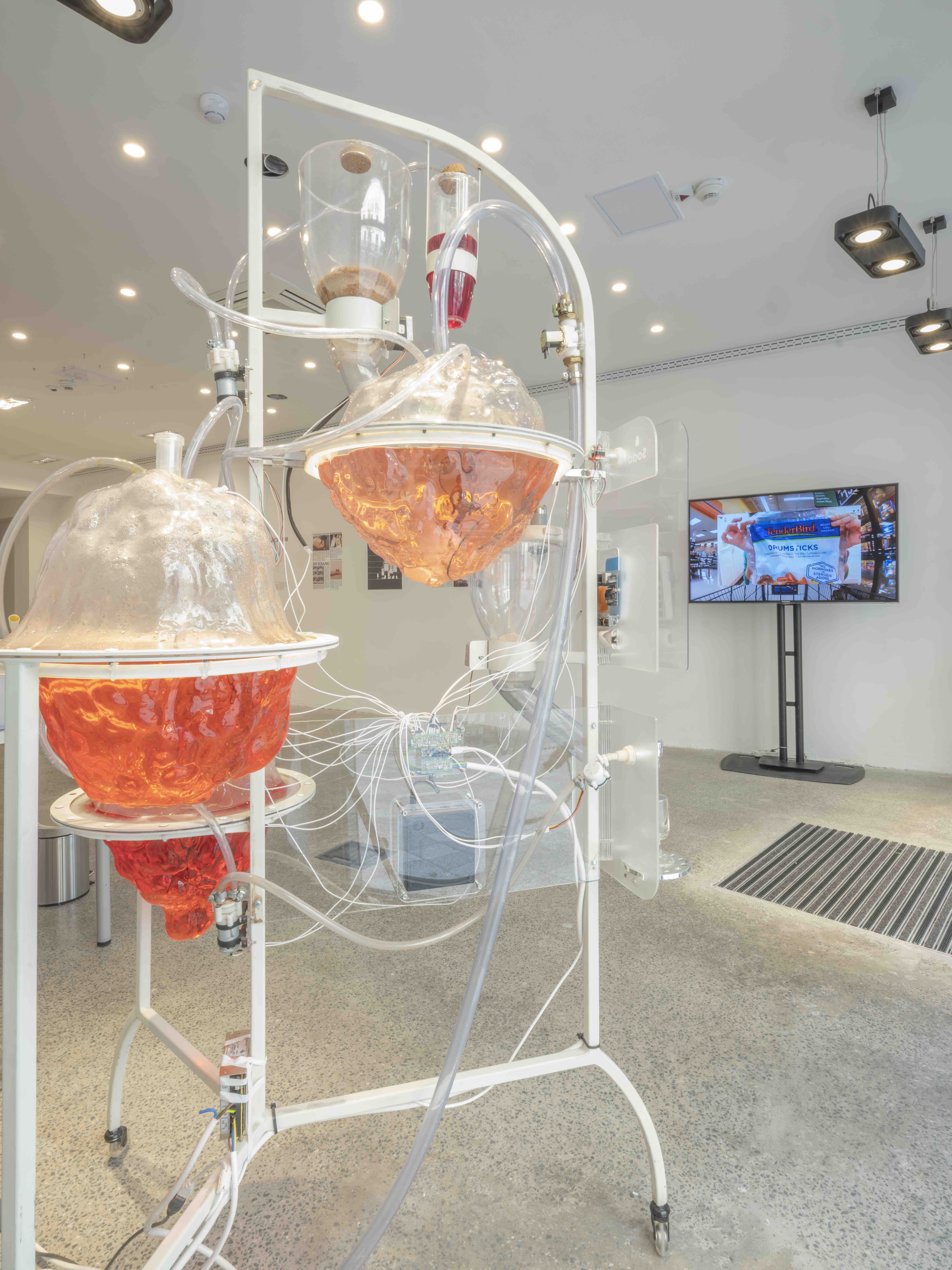 2021 menü culinary institute of europe the orbital strangers project 5 2021 menü culinary institute of europe the orbital strangers project 5
